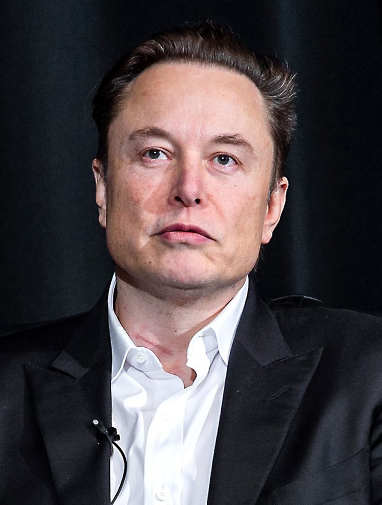 elon musk 2